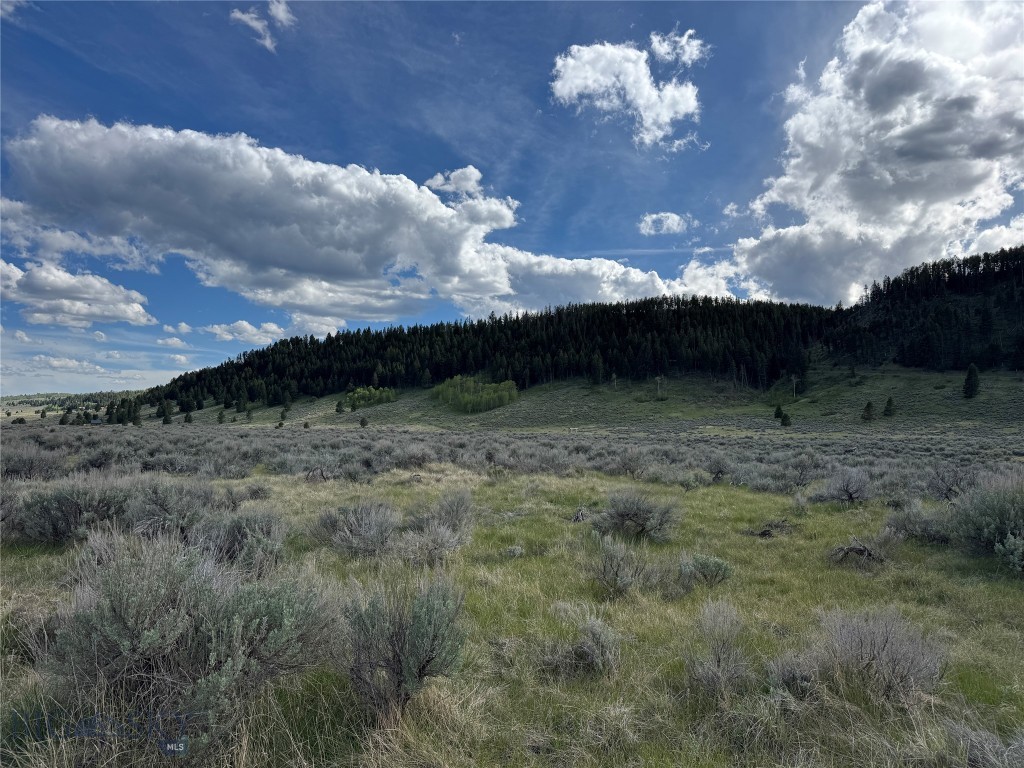 Sundance Bench - Land