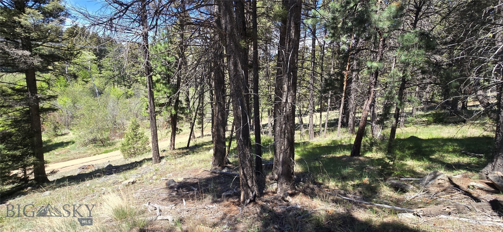 Nordic Condos - Land
