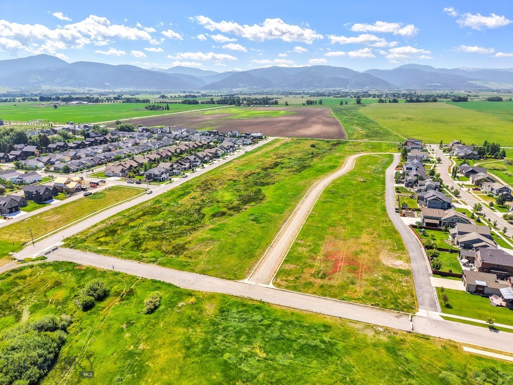 Meadow Bridge - Land