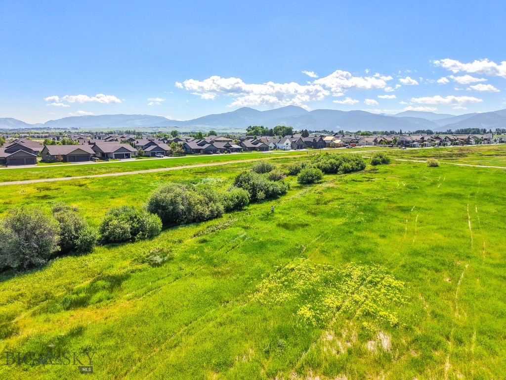 Meadow Bridge - Land