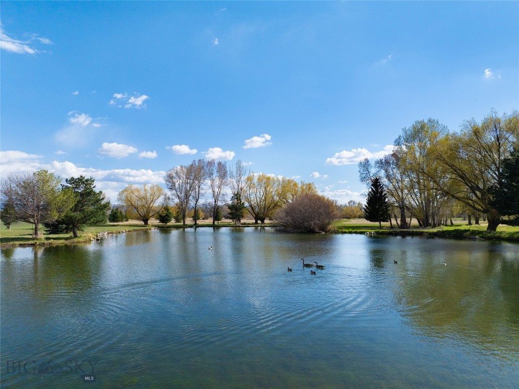 Bridger Lake Meadows - Land