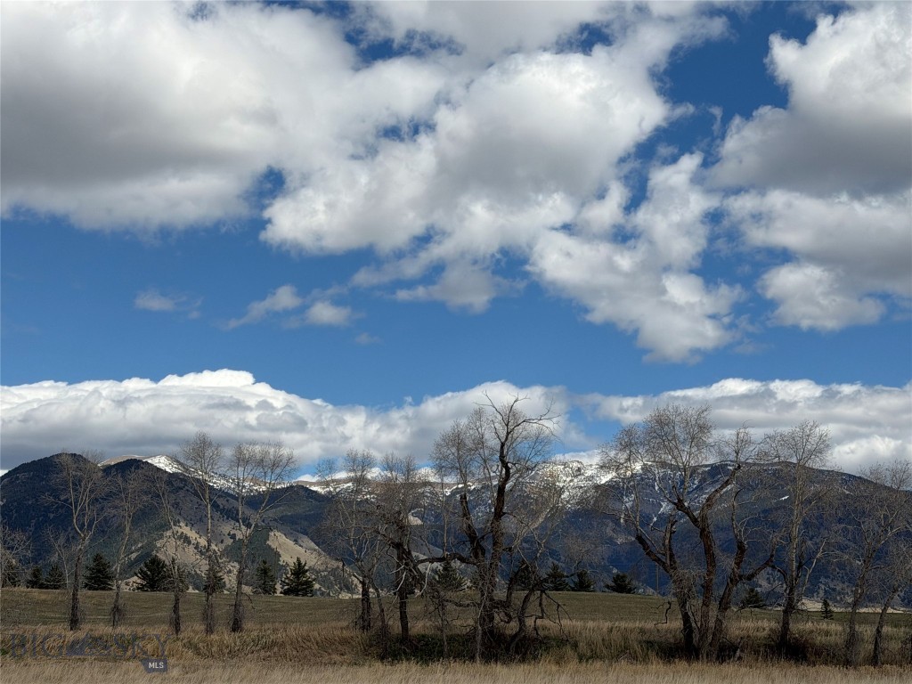 Bridger Lake Meadows - Land