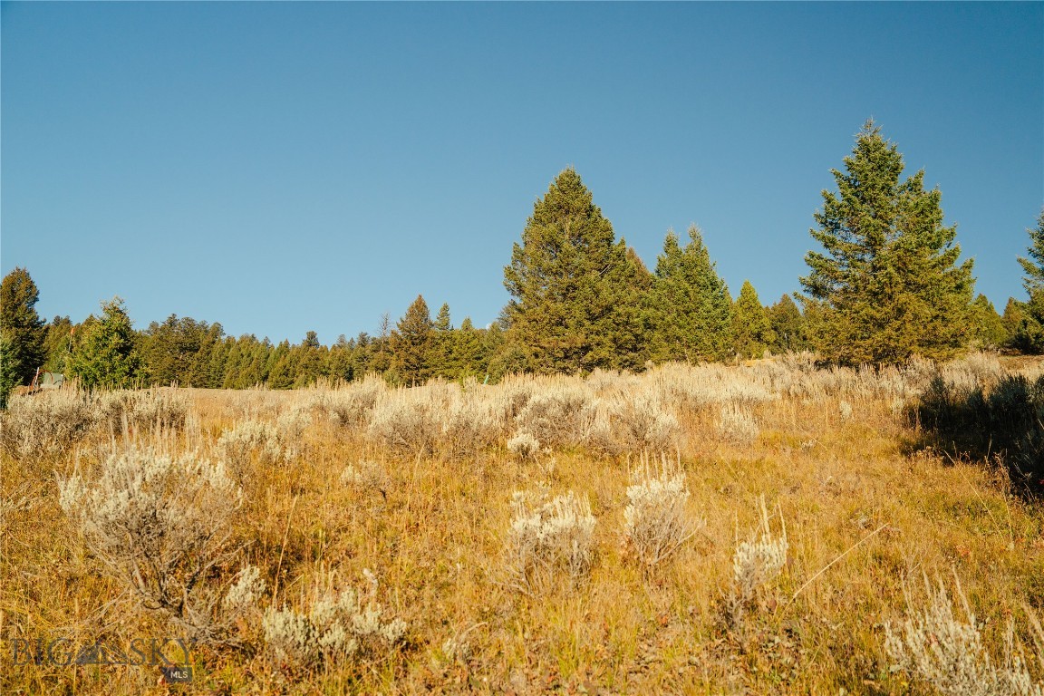 Upper Whitefish - Land