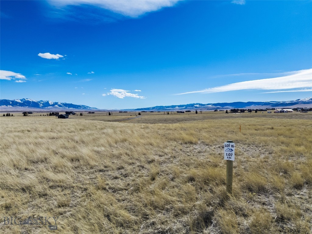 Shadow Ridge - Land