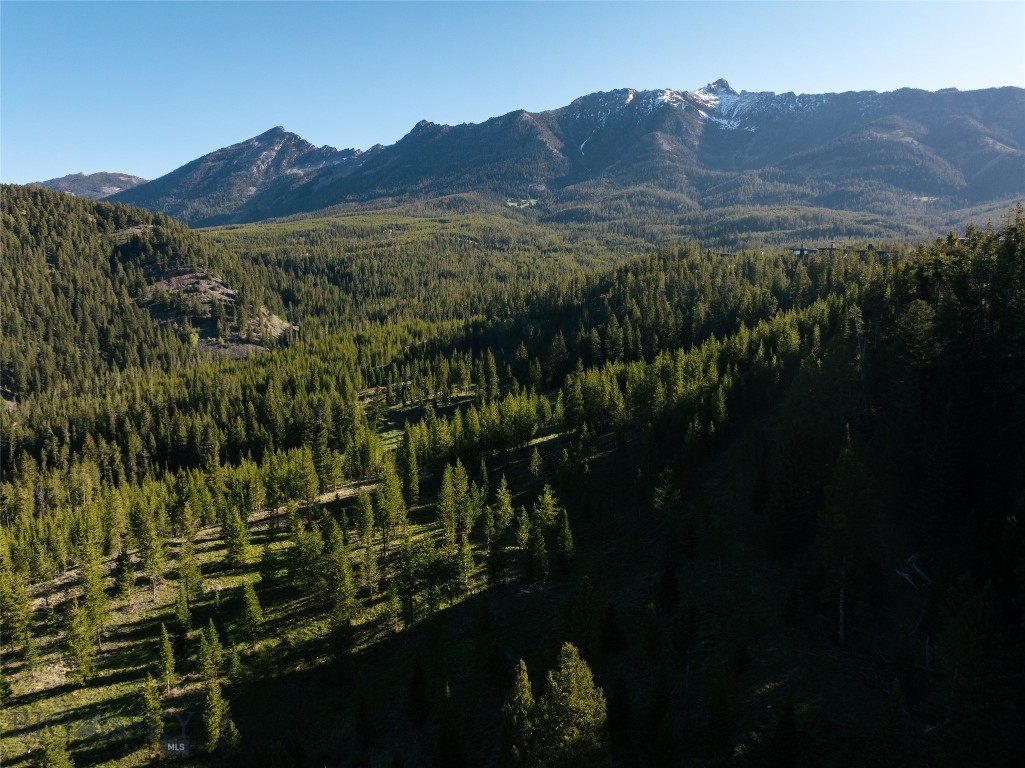 Moonlight Basin Ranch - Land