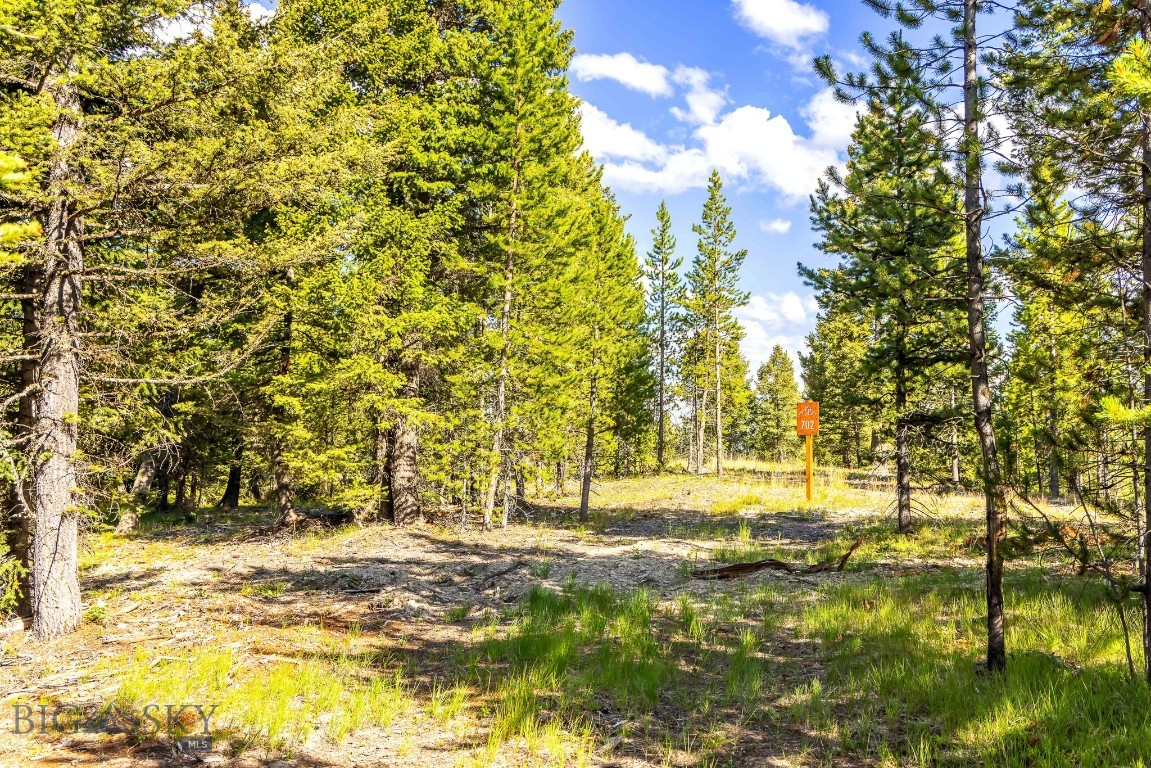 Ranches Neighborhood - Land