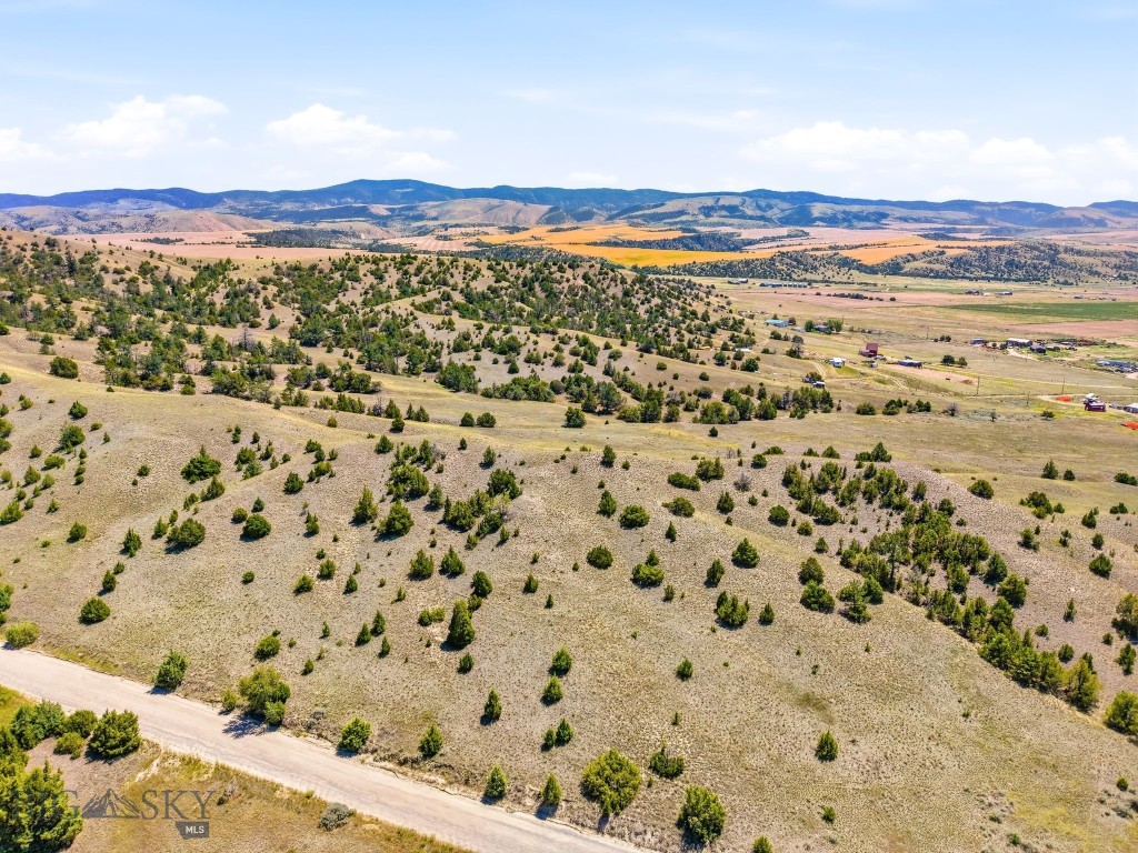 Ponderosa Pines - Land