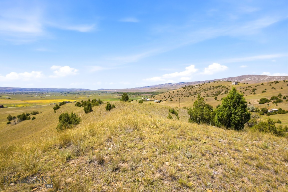 Ponderosa Pines - Land