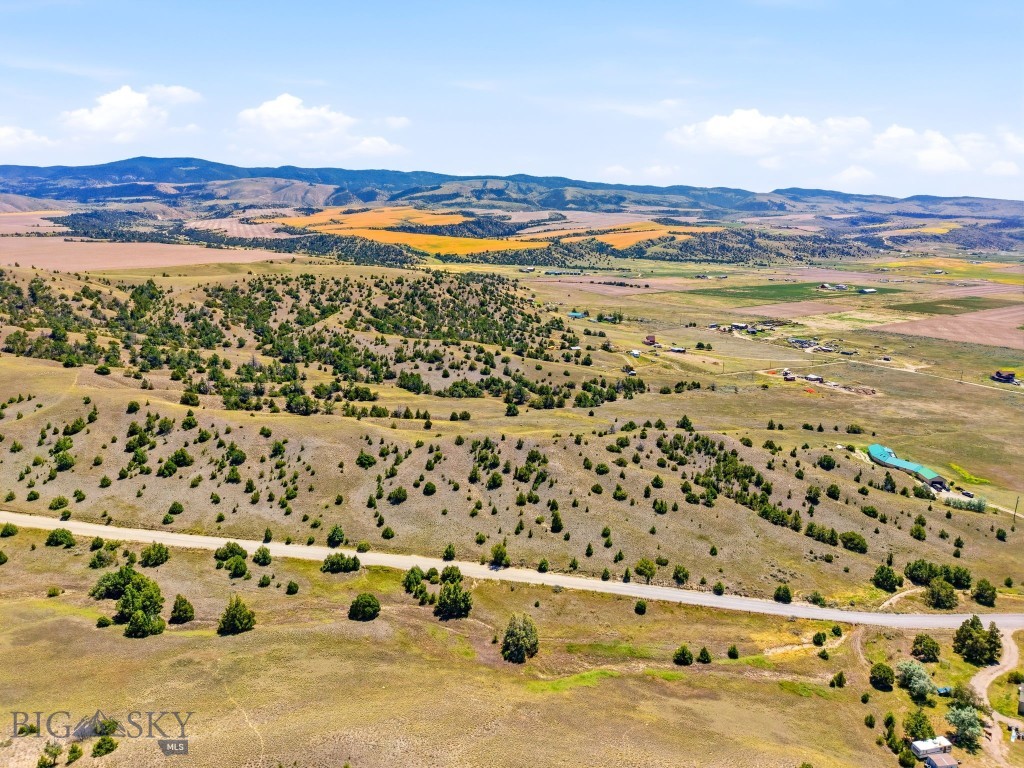 Ponderosa Pines - Land