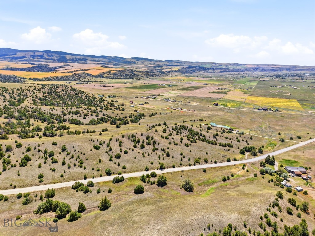 Ponderosa Pines - Land