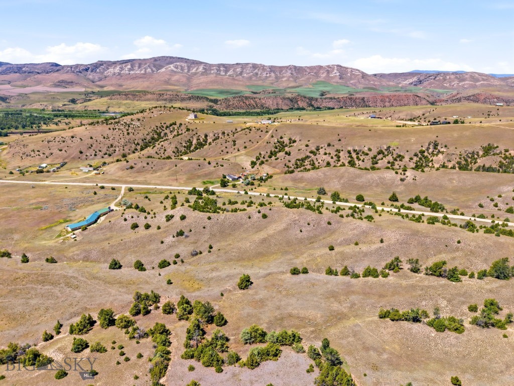 Ponderosa Pines - Land