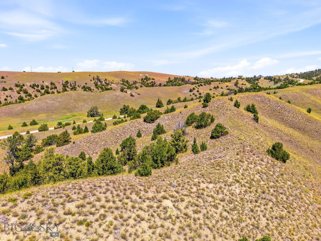 Ponderosa Pines - Land