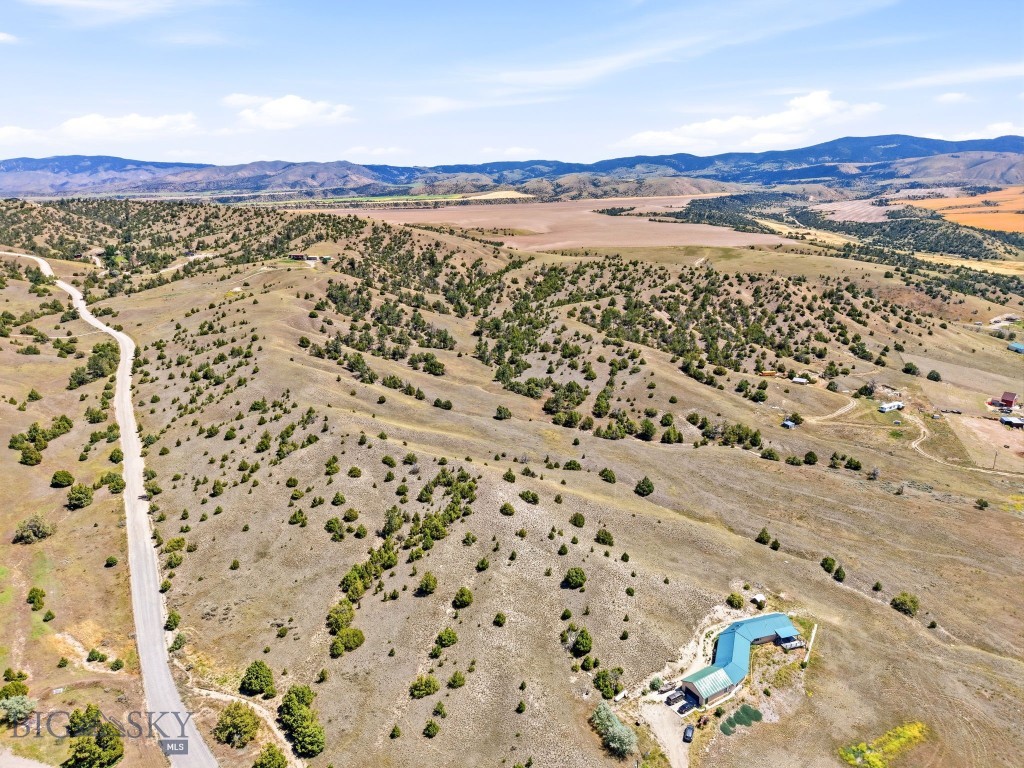 Ponderosa Pines - Land