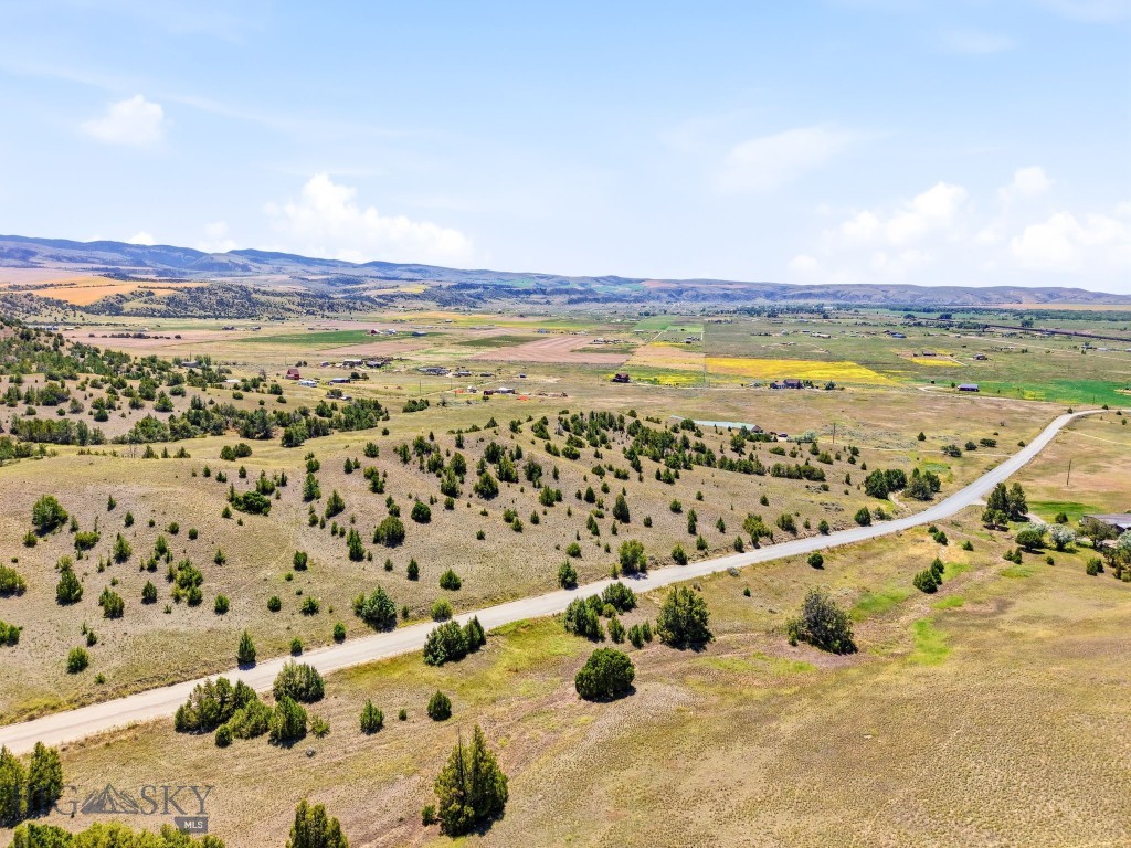 Ponderosa Pines - Land