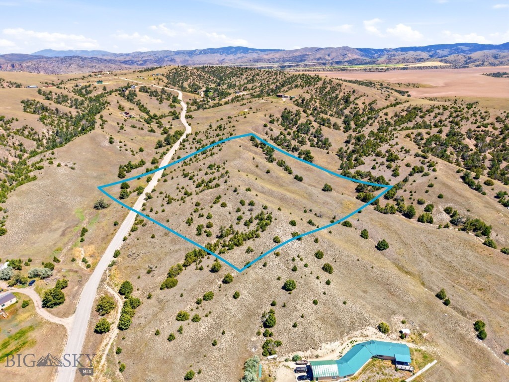 Ponderosa Pines - Land