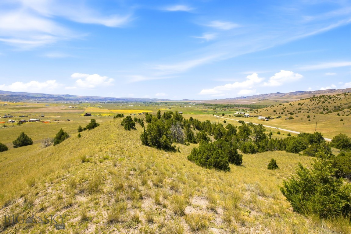 Ponderosa Pines - Land