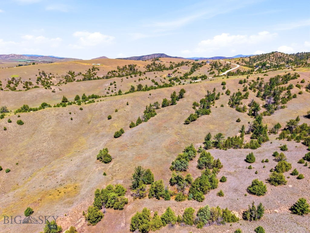 Ponderosa Pines - Land