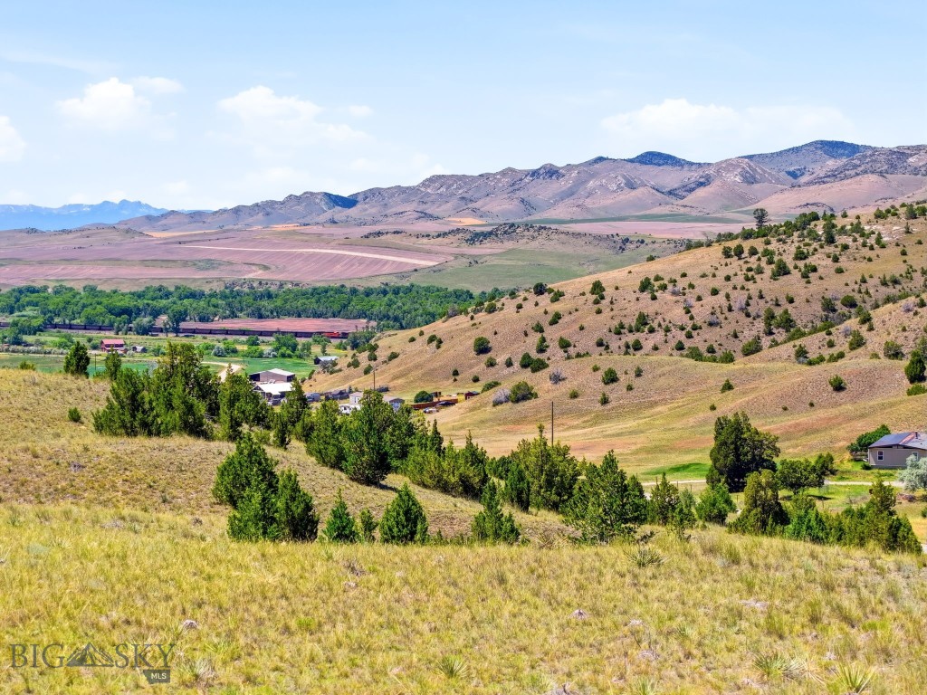 Ponderosa Pines - Land