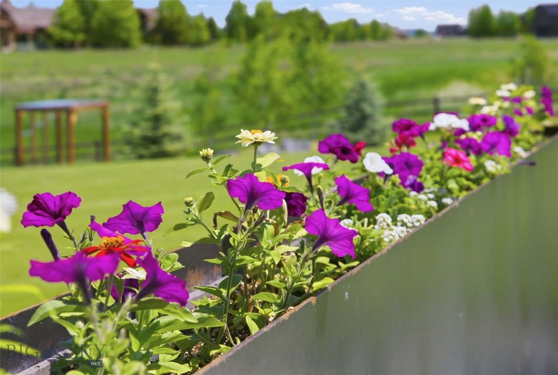 Middle Creek Parklands - Residential