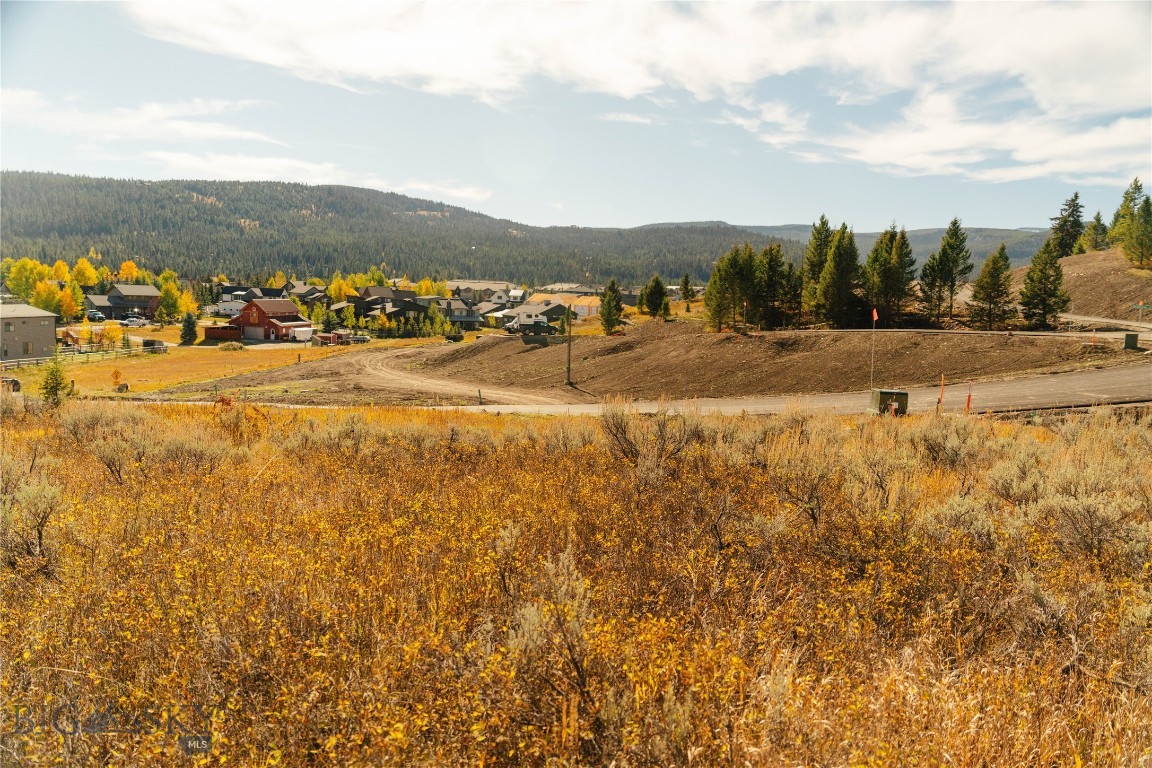 Upper Whitefish - Land
