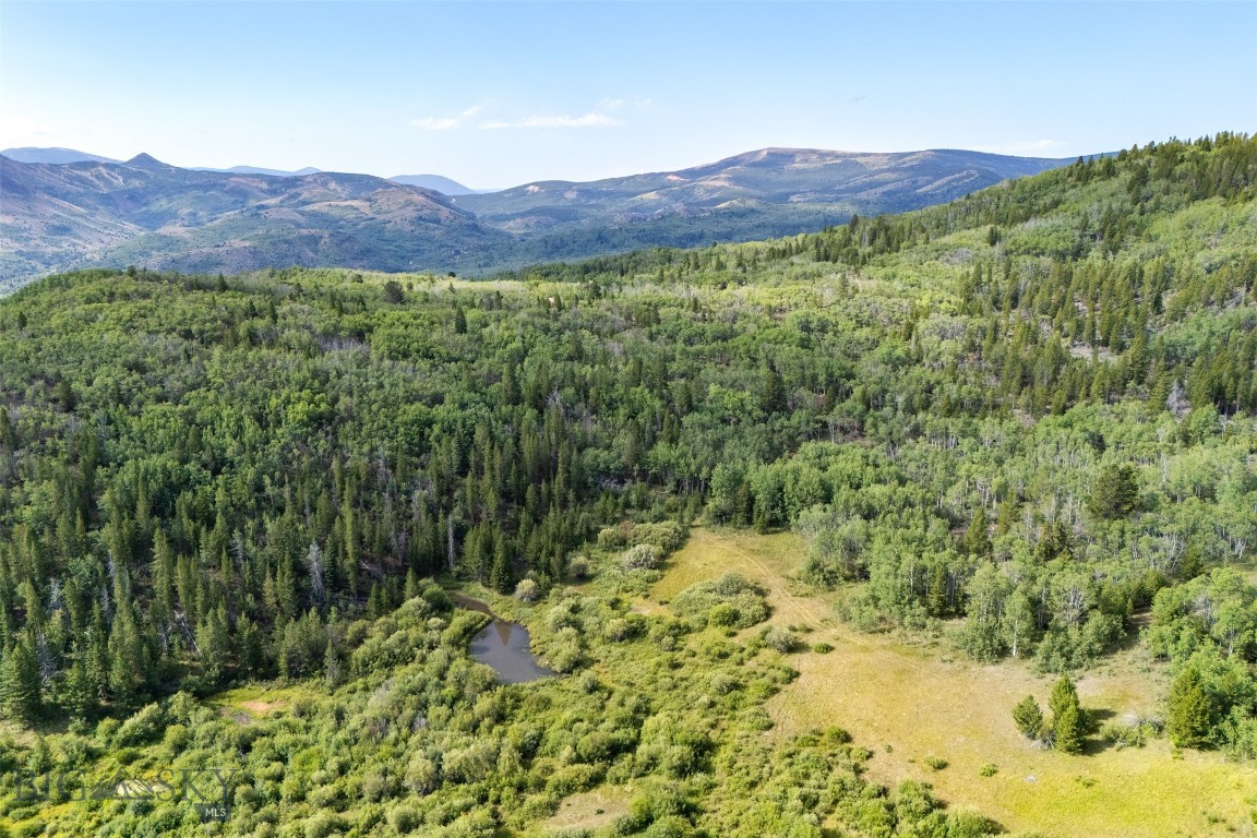 Just Under 39 Acres of Off-Grid Paradise – Minutes from Anaconda!
Escape to your own slice of Montana heaven with this nearly 39-acre private retreat, perfectly tucked away minutes from the historic charm of Anaconda. Ideal for off-grid living or a weekend getaway, this rare gem offers peace, privacy, and panoramic views—all within easy reach of modern conveniences.  With a well already on the property, natural ponds, and abundant wildlife roaming freely, you'll have everything you need to create your dream home, hunting cabin, or secluded sanctuary. Whether you're seeking full-time freedom or a weekend recharge, this land offers the ultimate blend of natural beauty and convenience.  No covenants. No noise. Just you, nature, and endless possibilities.