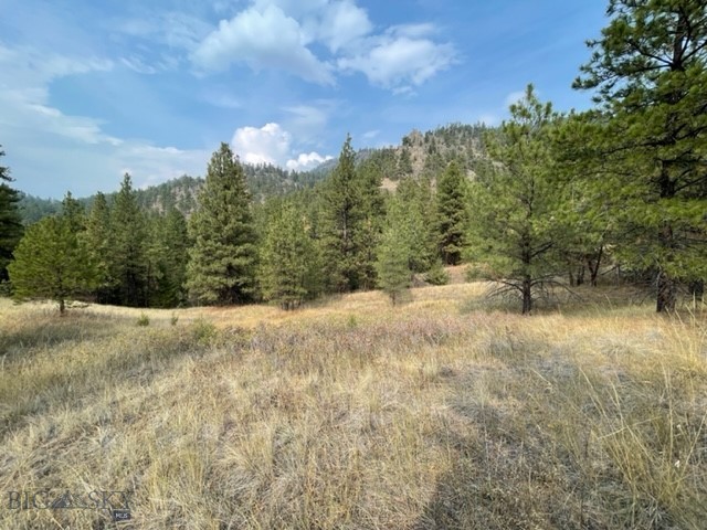 Other - Land