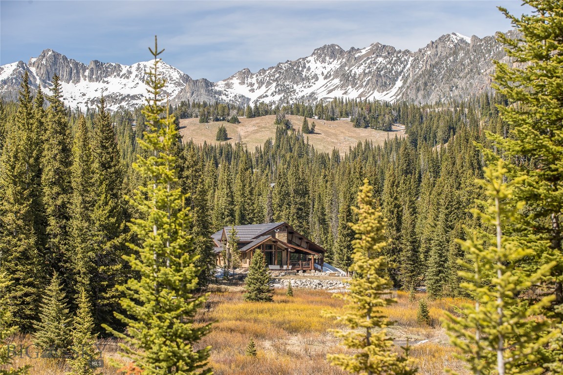 Beehive Basin - Residential