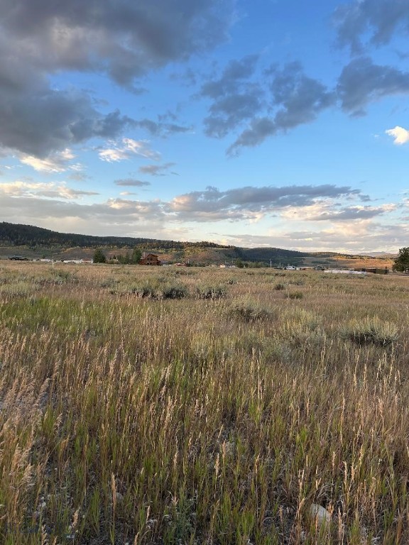 Bear Trap Ranch - Land