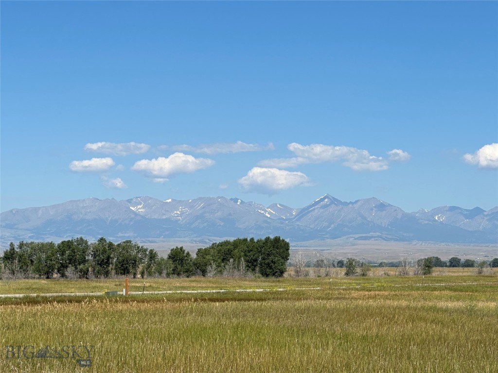 Yellowstone Meadows - Land