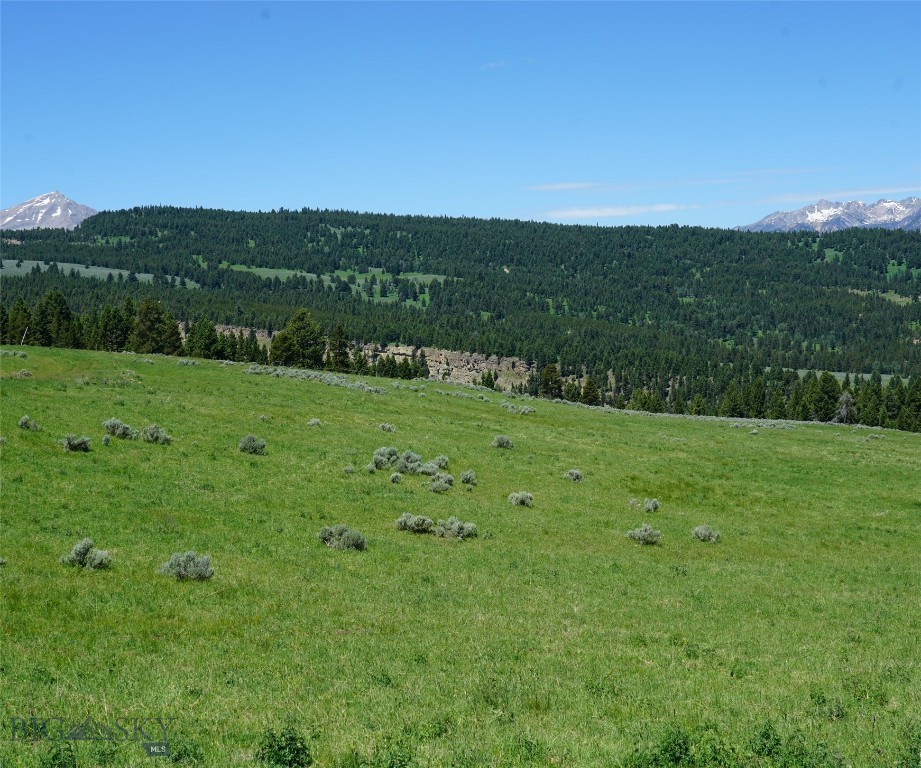 Other - Land