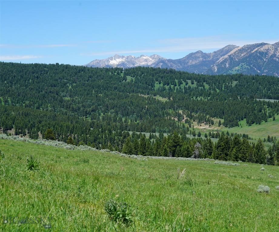 Other - Land