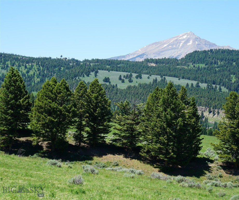 Beautiful alpine meadow property surrounded by a mature evergreen canopy with an aspen lined draw on its western side to a mature forest canopy on the east and a gentle sloping valley on the north side of the property.  The aspen filled draw has spring water flowing down the center along with several springs to keep the trees and area well watered all year long.  Outstanding views of the surrounding mountains including Lone Peak, Spanish Peaks and Gallatin Canyon along with the West Gallatin River. A designated and surveyed build site is reached via Timberloft Road which provided access to the parcel - this is an engineered road with buried fiber and electricity which was sited to allow great views and privacy and views.  Power and fiber have not been pulled to the home to allow flexibility in siting a new residence nor has the driveway been established again providing flexibility in design and siting.  The property is totally usable allowing with gentle grades and lush alpine grasses creating a park-like landscape. Hiking and biking trails could easily be developed with views in every direction.  This parcel is unlike any other property in the Big Sky area.  Amazing sunrises and sunsets are visible from all parts of the property along with being one of the sunniest proerties in the resort yet amazingly private!  Close to Ophir School, the West Gallatin River and convenient to Town Center and the Meadow Village.
 Possible Seller financing to qualified Buyers.