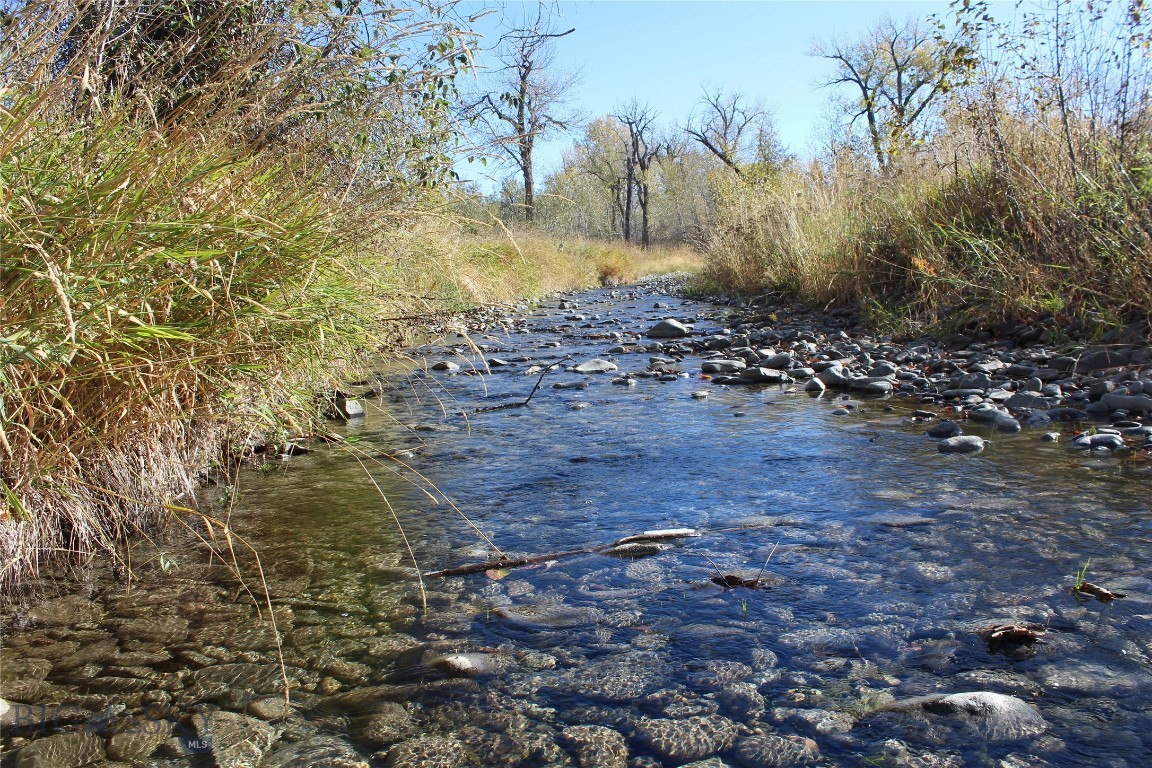 4.39 acres of Montana Beauty - Rock Creek Frontage Near Clyde Park. 

Escape to the peace and quiet setting of this stunning wooded retreat, bordered by Rock Creek on the south side. Registered Stock Water Rights included.
Nestled among the mature pine, cottonwood and aspen groves, this property offers a truly tranquil setting for your dream home or cabin. Just minutes from Clyde Park, you'll enjoy the charm of small-town Montana living with easy access to outdoor recreation, fishing, hunting and the scenic Shields River Valley.