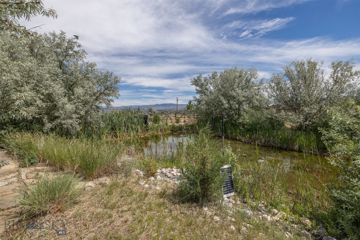 Ponderosa Pines - Residential