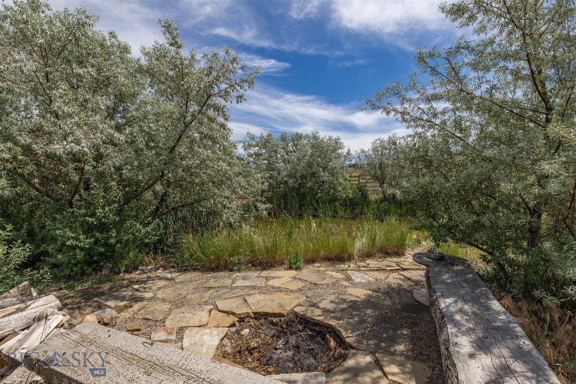 Ponderosa Pines - Residential