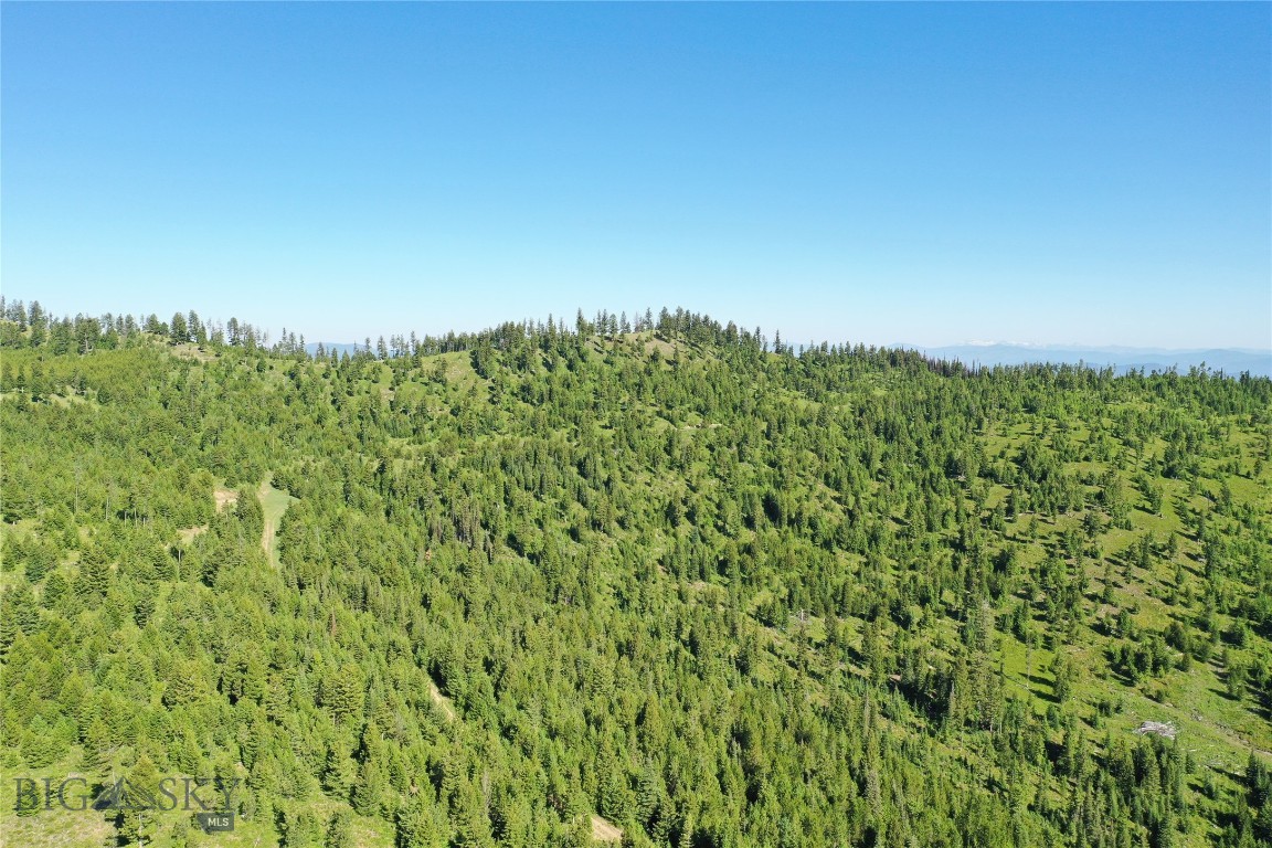 Discover this expansive 280 +/- acre off-grid Montana land in Drummond, MT—a rare opportunity for those seeking a recreational escape or land investment in Big Sky Country. This Drummond, Montana recreational property borders State of Montana land, providing direct access to public ground and enhanced privacy. The terrain offers rolling hills, timbered pockets, open meadows, and mountain views, ideal for spotting wildlife or selecting seasonal cabin or camp sites. Located in rural Granite County, this Montana acreage is perfect for buyers looking to purchase recreational land in Montana or buy larger acreage near Drummond, MT. With potential owner financing, this off-grid Montana property offers flexibility and freedom for hunting, light agriculture, or a peaceful retreat with direct access to state land.