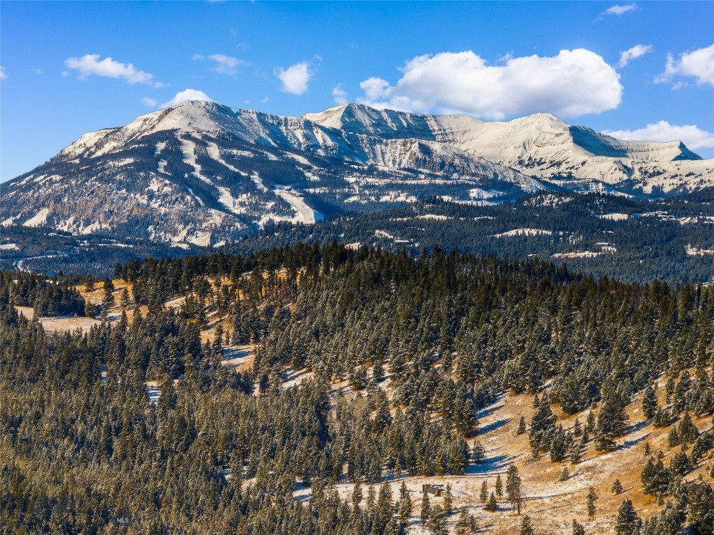 Blackfoot Hills - Land