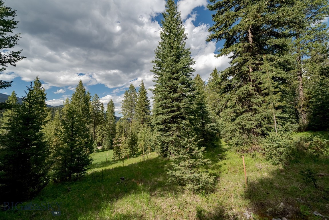Blackfoot Hills - Land