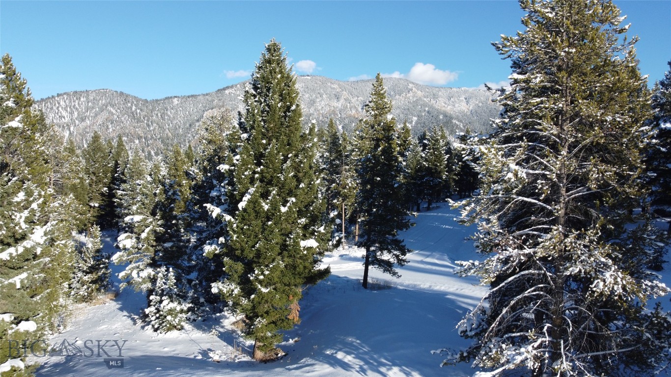 Blackfoot Hills - Land