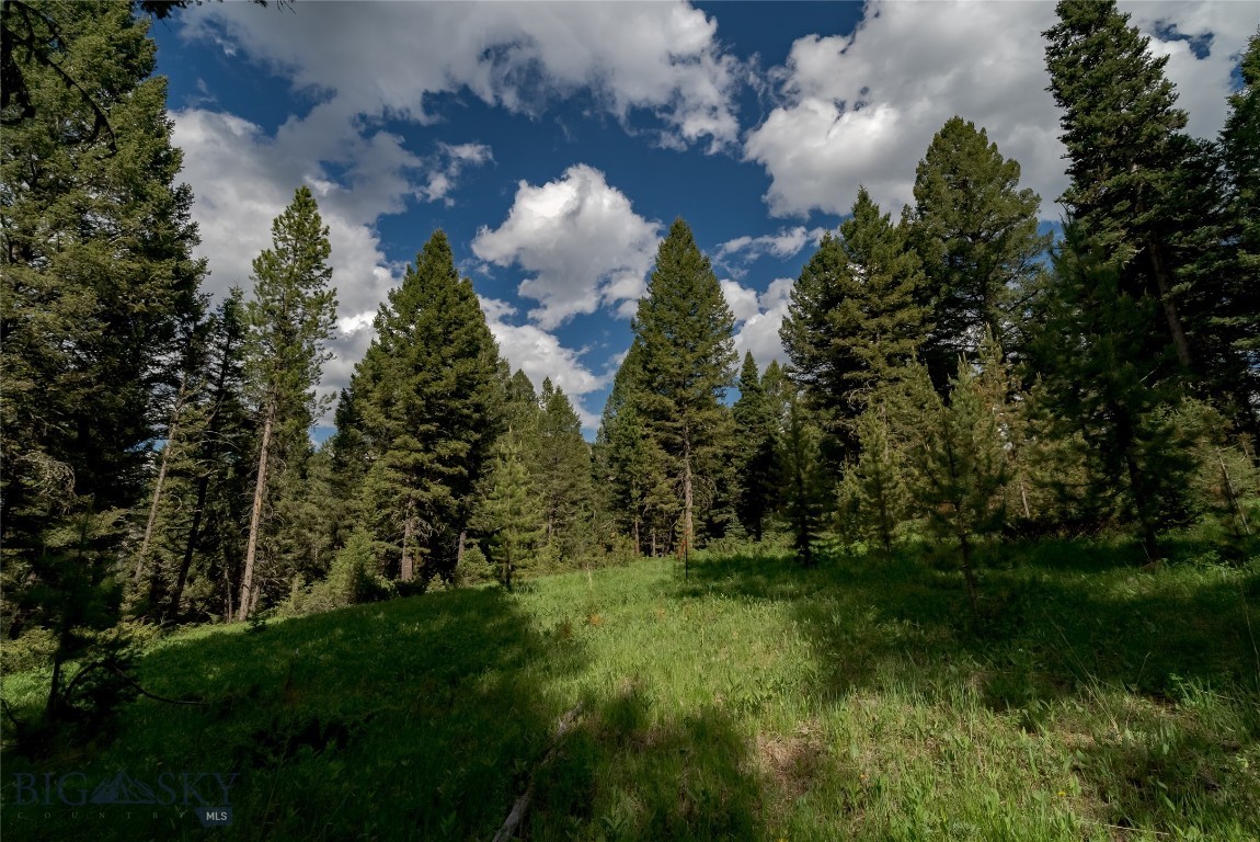 Blackfoot Hills - Land