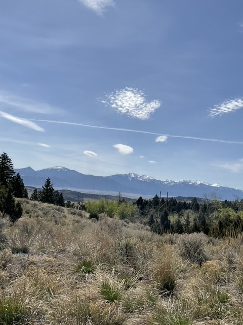 Welcome to this perfect place to build your Montana mountain dream home. A 21-acre property that offers magnificent views of the Tobacco Root Mountain Range and the Jefferson River Valley. Landscaped by Mother Nature with immense boulder outcroppings, trees, natural grasses and flowers. Colbert Creek borders the property on the entire south boundary, and public lands border the property on the north which provide miles of excellent hunting. This area is rich in recreation, trail systems, wildlife and scenery. Slow down, relax and enjoy the special lifestyle that comes with the beautiful surroundings, tranquility and recreational opportunities. Located about halfway between Butte and Whitehall off Highway 2, there is power located on the property.  Check out the exterior drone video attached to this listing. The Seller also owns an adjoining 47-acre property at 456 Friendspring Road with a beautiful log home that is being sold under a separate listing (MLS #407740).
