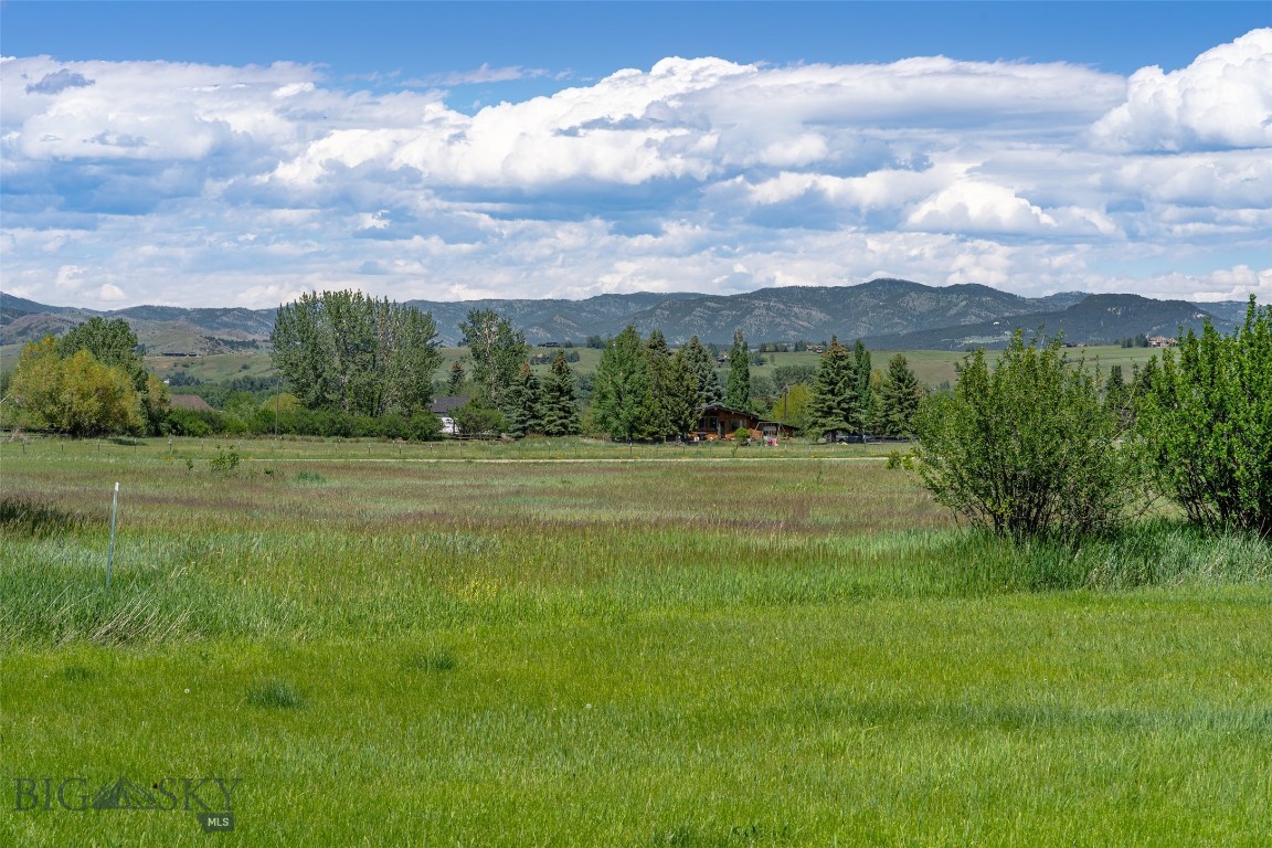 Other - Land