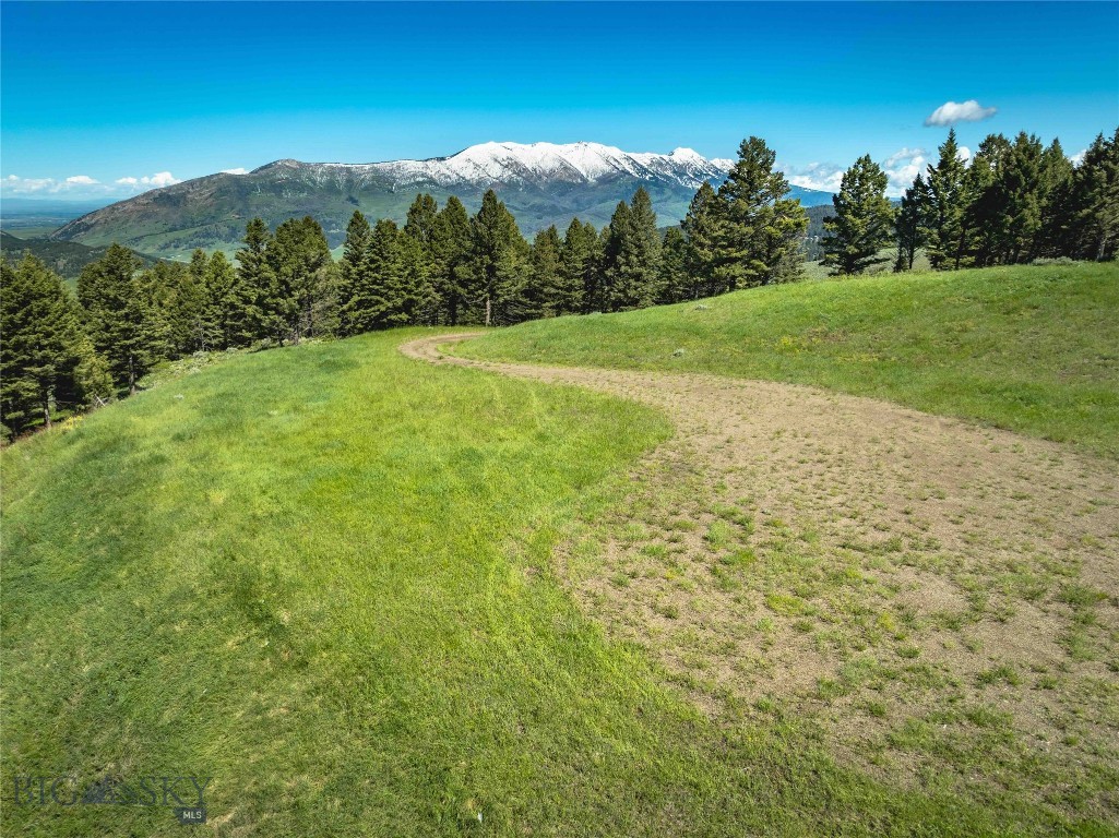 North Pass Ranches - Farm
