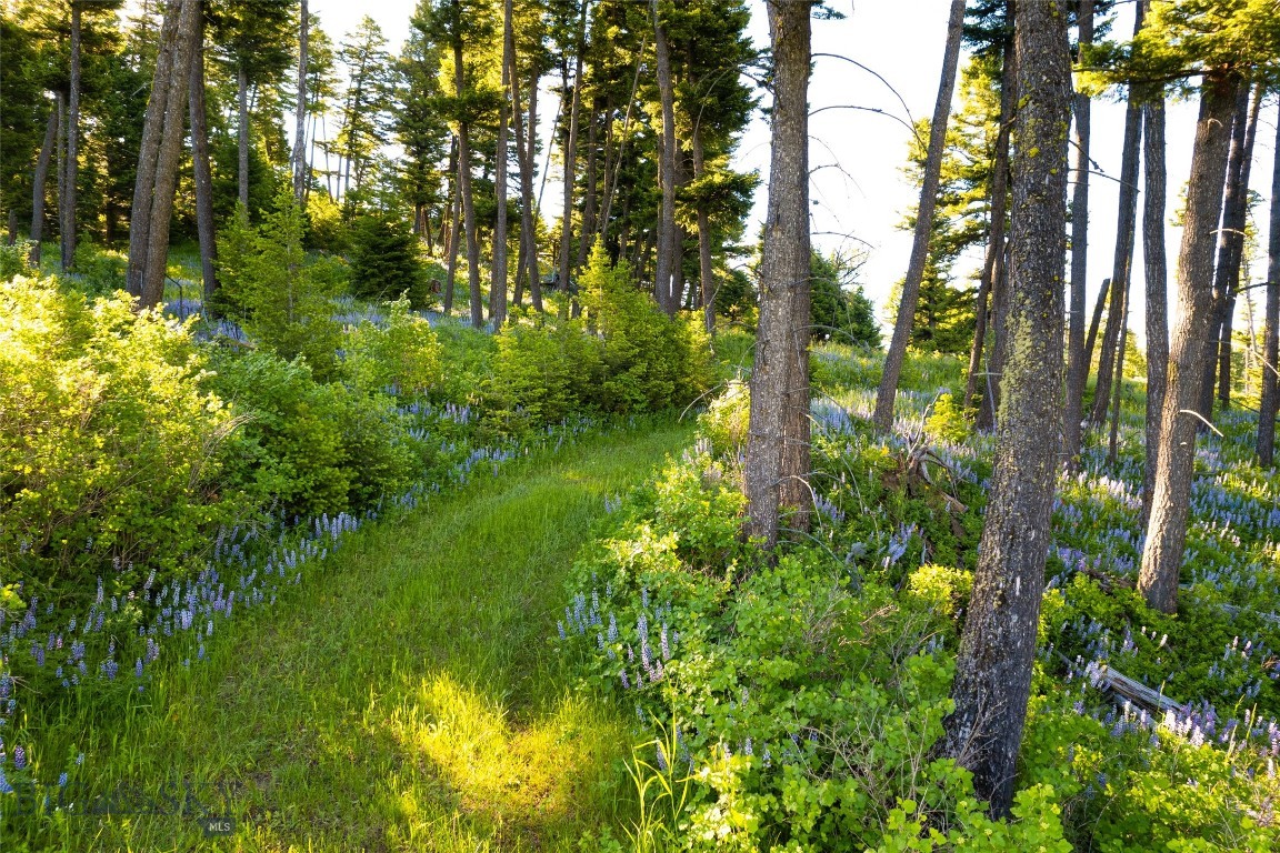 North Pass Ranches - Farm