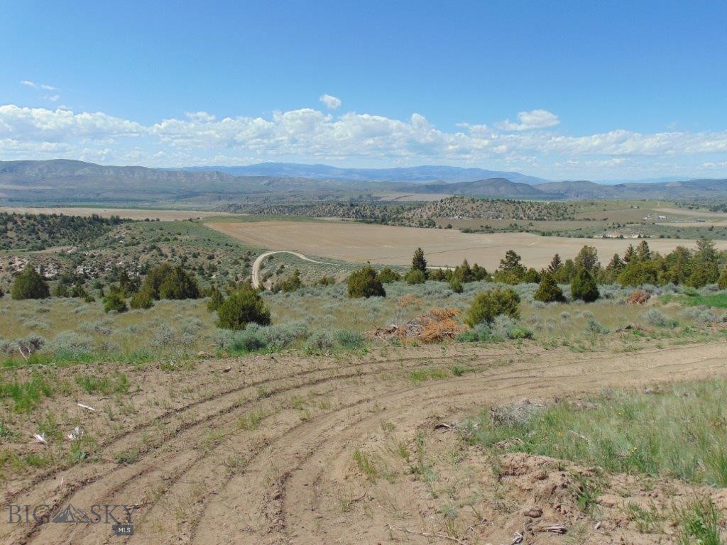 Ponderosa Pines - Land