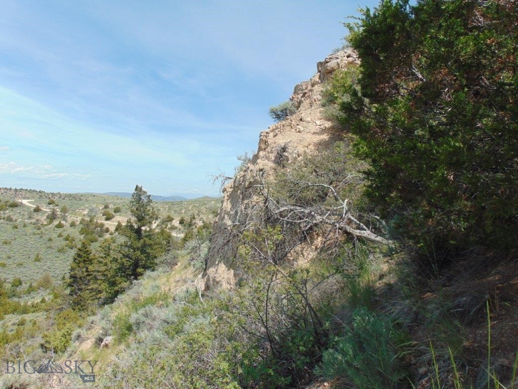 Ponderosa Pines - Land