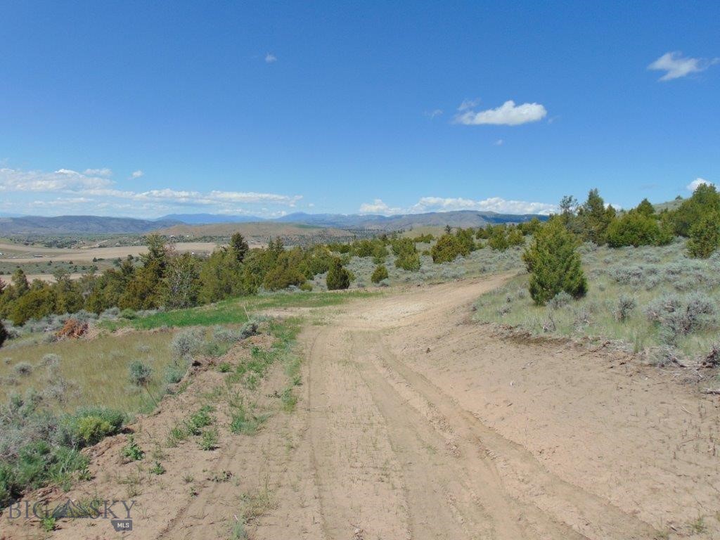 Ponderosa Pines - Land