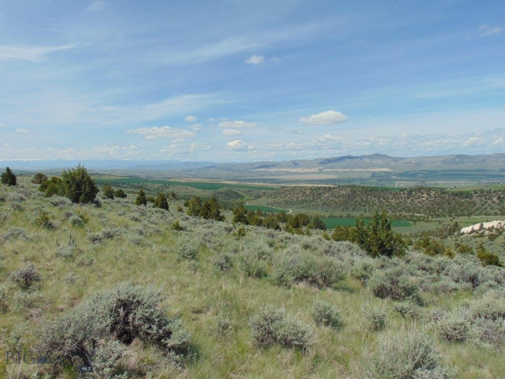 Ponderosa Pines - Land