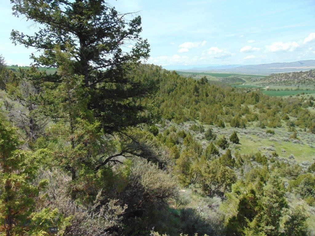 10 acres of Beautiful Montana Property with a building site already excavated and ready to start using. If you have been looking for the perfect property for your Montana Cabin or Home site at an affordable price, this is the one!! From this property, you’ll have fantastic views of the 3 mountain ranges - Bridger, Tobacco Root, and Belt Mountains, as well as the Missouri River valley below. The building site was installed in the fall of 2025 and is ready for you to start building a cabin or pull your camper in and have fun. For the outdoors person, there is fishing, deer, waterfowl, and pheasant hunting along the Missouri and Gallatin Rivers, which are only a few miles away. Actually, the Madison River and Jefferson River are both close by as well; all of these rivers are Blue Ribbon trout streams! If Elk hunting is your thing, there are thousands of acres of National Forest and other public lands nearby, more country than you could ever explore in one lifetime! Both Bridger Bowl and Big Sky Ski Areas are nearby as well. It’s only 40 miles from Bozeman and just 20 miles from Three Forks, Montana, making this an excellent location. Three Forks is a western town right out of your favorite John Wayne Movie, and has lots of old west history. It’s the kind of small town that you can’t visit without meeting several friendly folks, most of which still wear a cowboy hat! This truley is a Great Property!