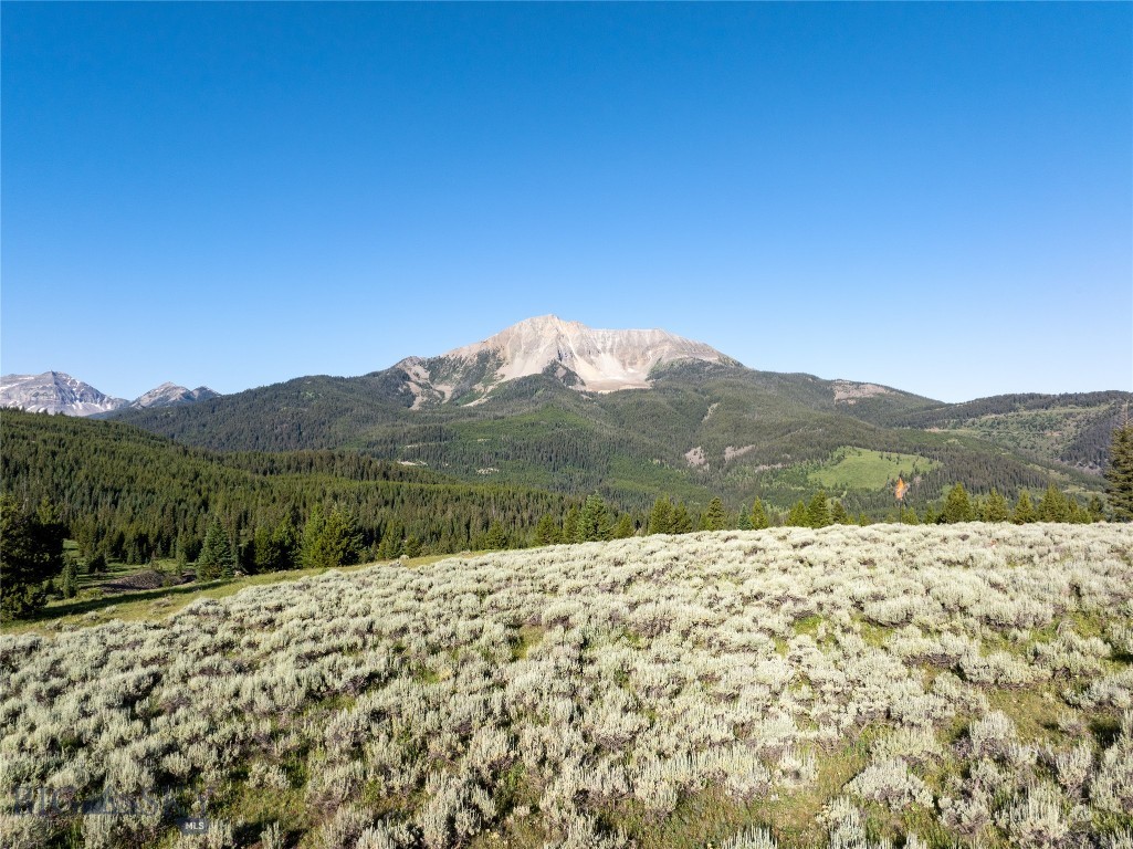 Moonlight Basin West 1 - Land